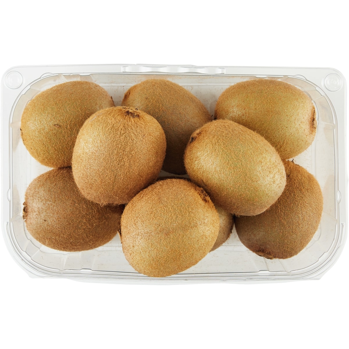 Fresh Kiwi Fruit