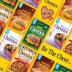 General Mills Honey Nut Cheerios Breakfast Cereal, Whole Grains