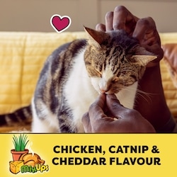 Temptations Mix-Ups Chicken, Catnip & Cheddar Flavour Adult Cat