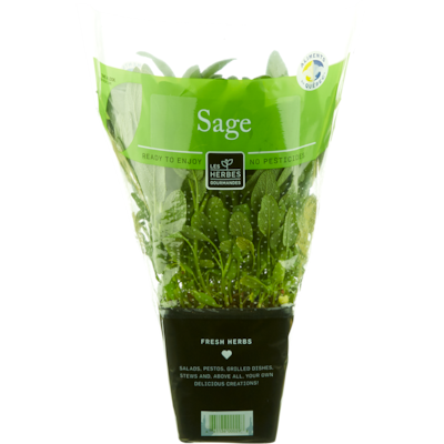null Fresh Sage, 4" Pot 1 ea, $4.99/1ea