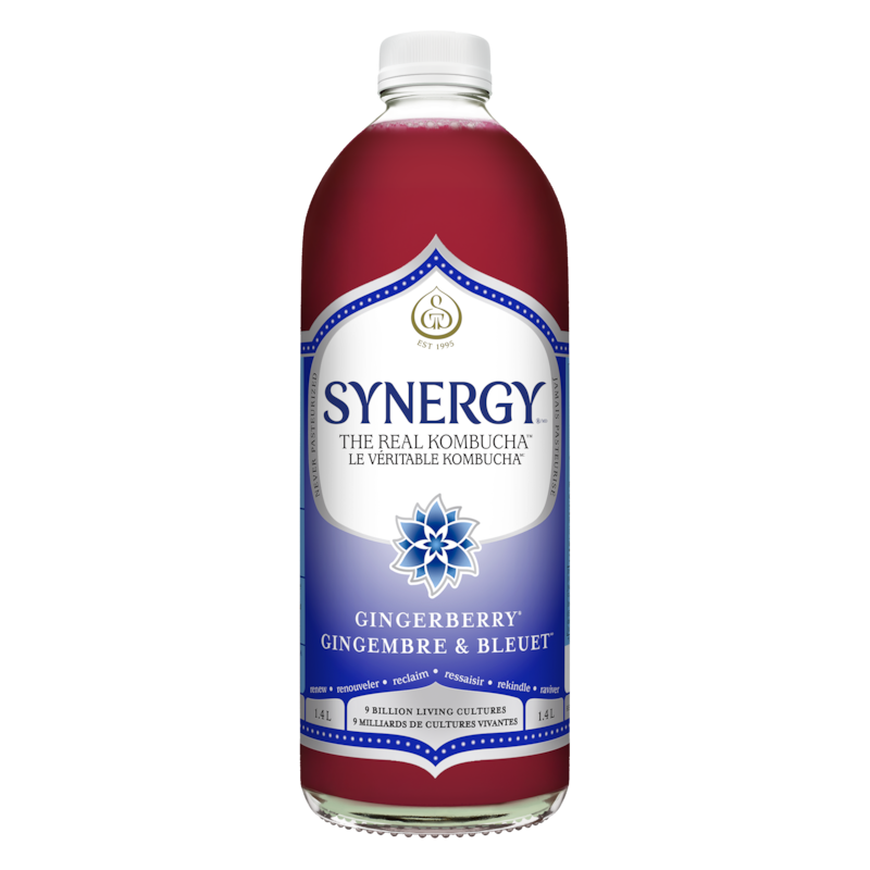 Synergy The Real Kombucha Gingerberry