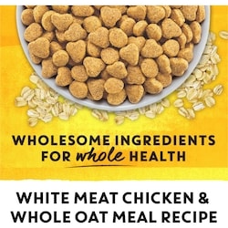 What is Chicken Meal in Cat Food: Essential Facts Every Owner Should Know