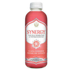 Synergy The Real Kombucha Guava Goddess