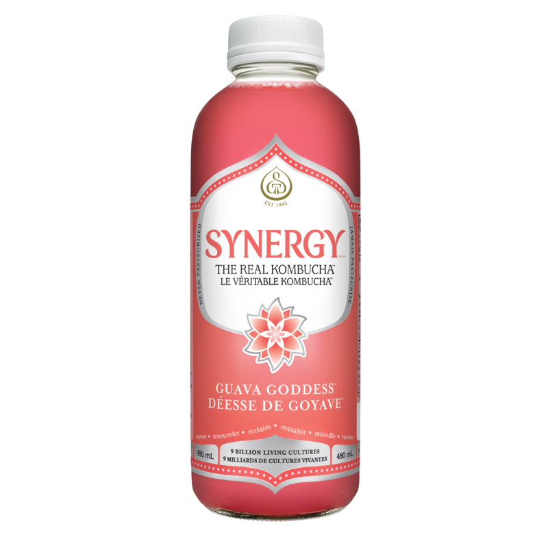 Synergy The Real Kombucha Guava Goddess