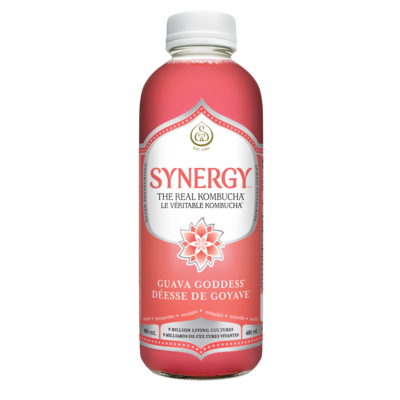 GT’s SYNERGY LE VÉRITABLE KOMBUCHA Déesse de Goyave 480 ml, 0,96 $/100ml