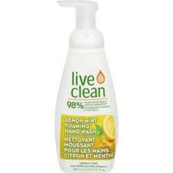 Lemon Mint Foaming Hand Wash