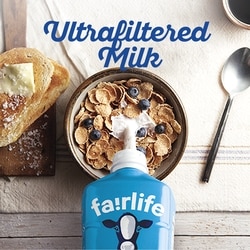 Fairlife Chocolate Milk - 1.5 l | Zehrs