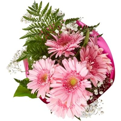 null Gerbera Upgrade Bouquet 1 ea, $12.00/1ea