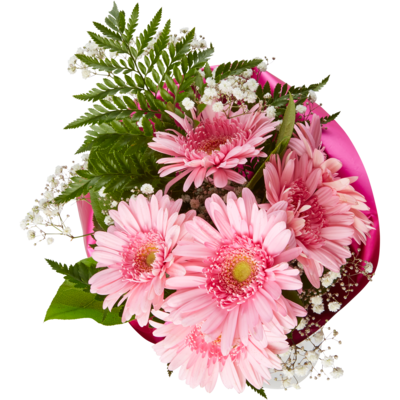 null Grand bouquet de gerbera 1 ea, 15,00 $/1ch