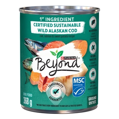 Purina Beyond Entrée moulue recette de morue de l’alaska, de saumon et de patate douce nourriture humide pour chiens 368 g, 0,82 $/100g