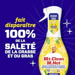 Acheter Vaporisateur Brume Fine 500ml - Pulvérisateur pour Plantes d'Intérieur en ligne