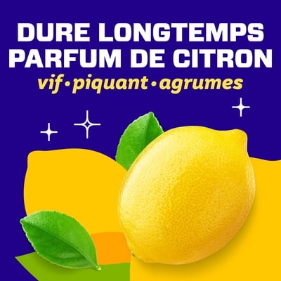 Trousse de départ de bruine nettoyante en profondeur multi-surfaces en vaporisateur Clean Freak, parfum Zeste de citron, 1 unité