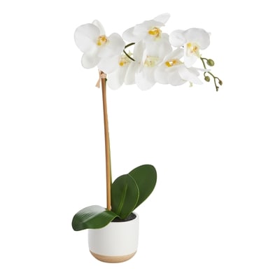 Life at Home Orchidée blanche artificielle dans un pot en céramique neutre, 51 cm 1 ea, 20,00 $/1ch