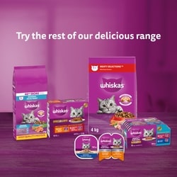 Whiskas Perfect Portions 24 Variety Pack Adult Wet Cat Food ea