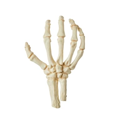 null Skeleton Hand 12x1.0 ea, $0.42/1ea