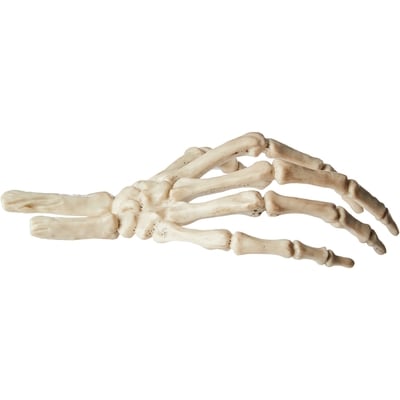 Skeleton Hand