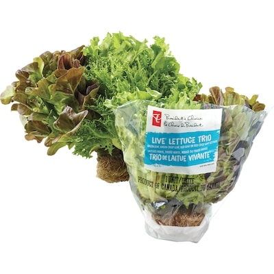 President's Choice Live Lettuce Tri Mix - 1 Unit 350 g, $4.00/1ea