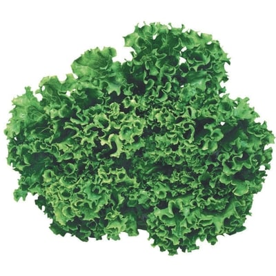 President's Choice Live Lettuce Green 350 g, $4.00/1ea