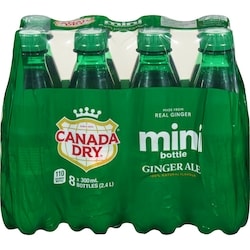 Ginger Ale, 8 Pack Bottles