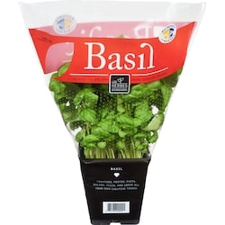 null Basil  1 ea, $5.50/1ea