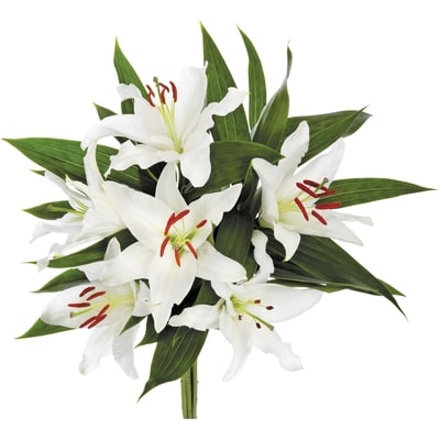 le Choix du Président Bouquet de lys 1 ea, 10,00 $/1ch