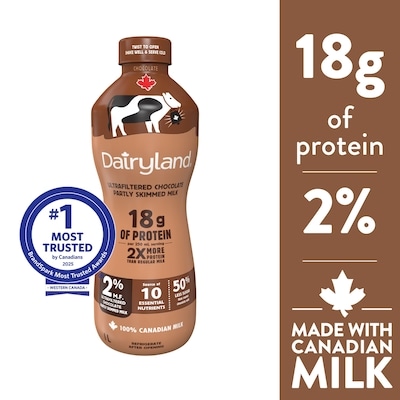 Dairyland 2% Ultrafiltered Chocolate Partly Skimmed Milk