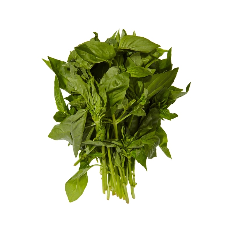 Fresh Basil