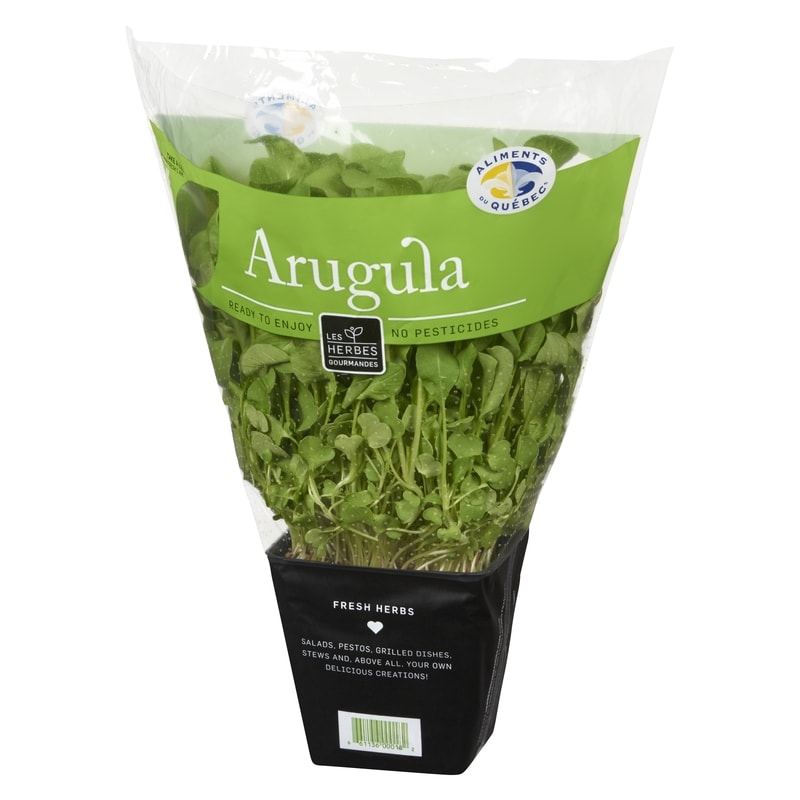 Arugula
