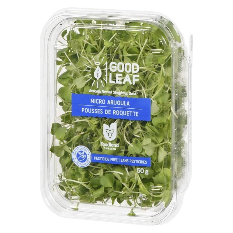 Micro Arugula