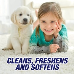Resolve Stain Removal, Carpet Cleaner, Trigger - 650 ml | No