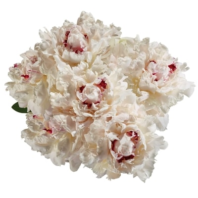 Farmer's Market Peonies 7 stem 1 ea, $14.00/1ea