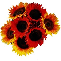 null Bouquet Fiesta de tournesols 1 ea, 14,00 $/1ch