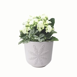 null Holiday Garden 1 ea, $18.00/1ea