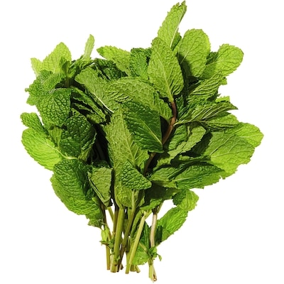 Fresh Mint