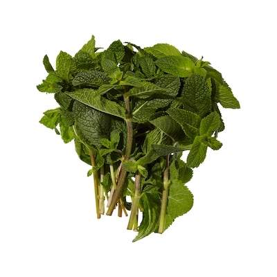 Fresh Mint