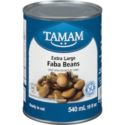Extra Large Faba Beans 