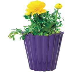 le Choix du Président Jardinière d'annuelles 8,5 pouces 1 ea, 16,00 $/1ch