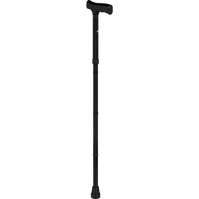 Folding Cane, Black