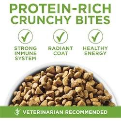 Purina ONE +Plus Indoor Advantage Turkey, Dry Cat Food - 3 kg | Zehrs