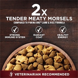 ONE True Instinct Salmon Tuna, Dry Dog Food