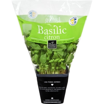 null HG BASILIC CITRONNE FRAIS 4PO 1 ea, 4,99 $/1ch