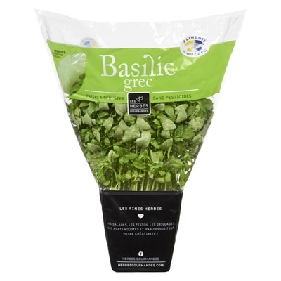 Basilic grec