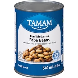Faba Beans Foul Medamas