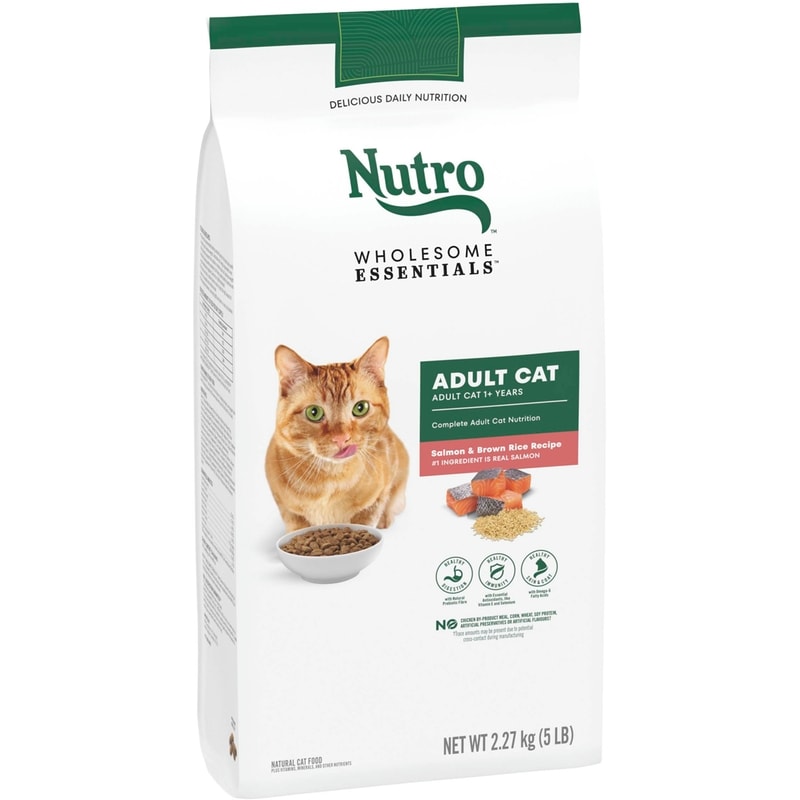 Wholesome Essentials Salmon & Brown Rice Adult Dry Cat Food