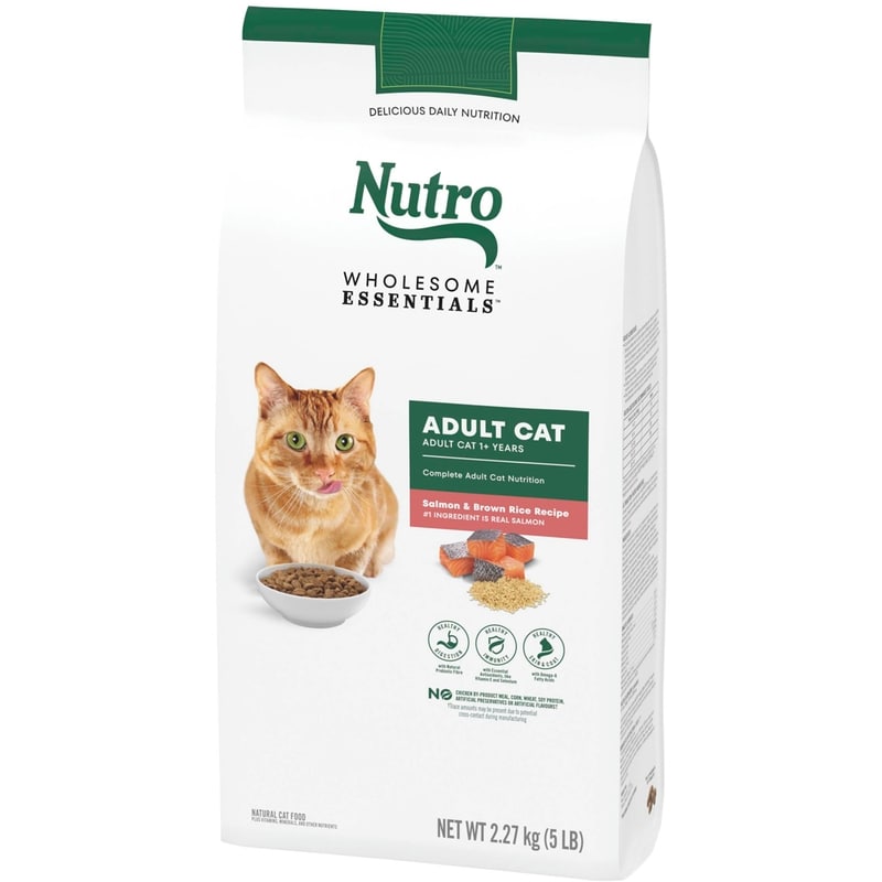 Wholesome Essentials Salmon & Brown Rice Adult Dry Cat Food