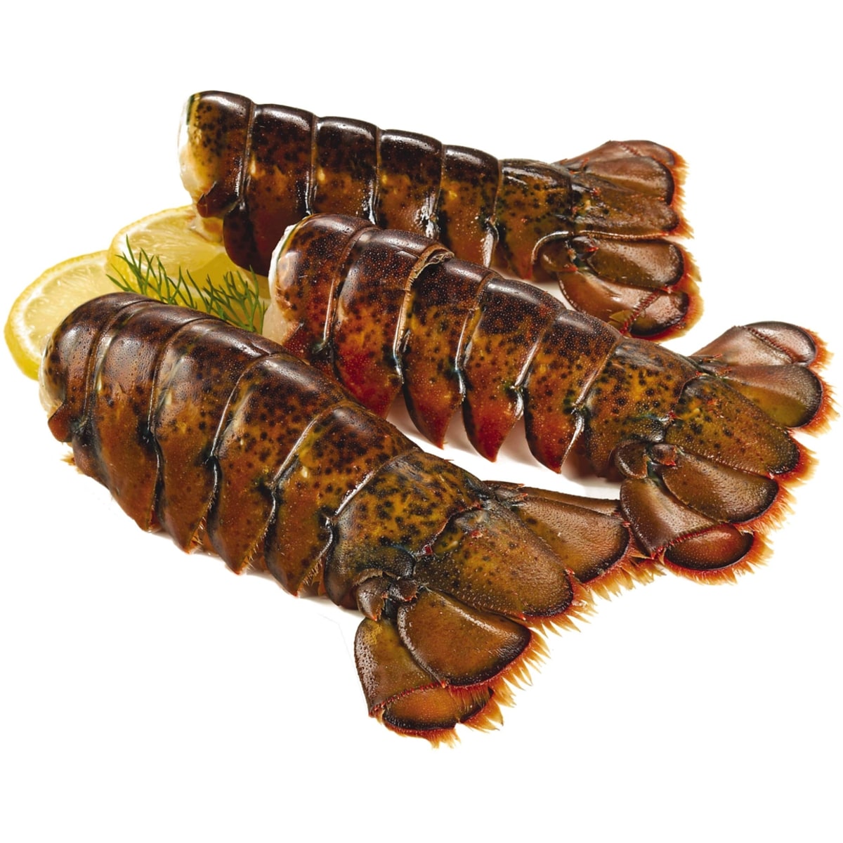 Lobster Tail, 2/3, Frozen 4-pack