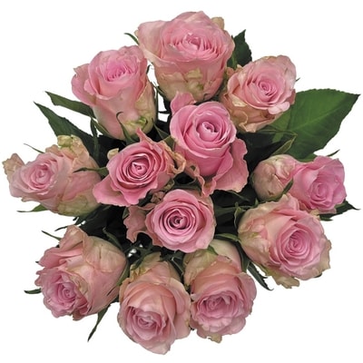 null Dozen Roses in Assorted Colours 1 ea, $26.00/1ea