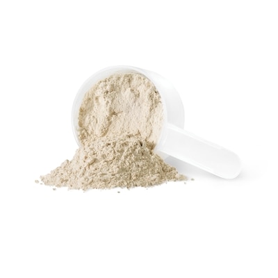 Sprouted Protein Powder