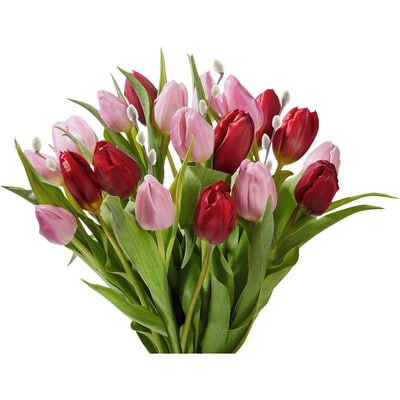 null Tulip, 20 stem bouquet, assorted colors 1 ea, $22.00/1ea