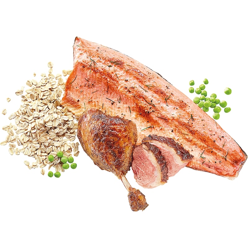 Urinary Health & Sensitive Diet Cat Food, Trout, Duck, Oatmeal & Pea